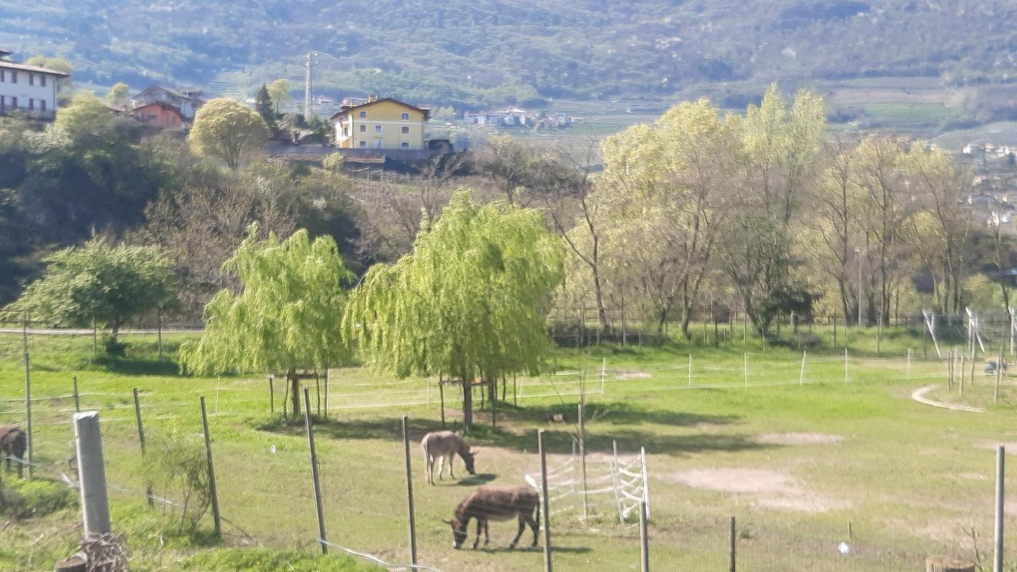 Sweet * Rovereto (Trentino Alto Adige)